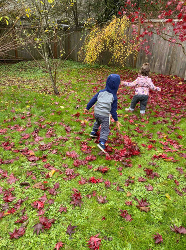 Photo of Seema’s TLC Childcare LLC. - Bothell, WA