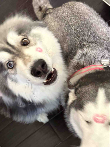 Photo of Charmsical Childcare - Irvine, CA