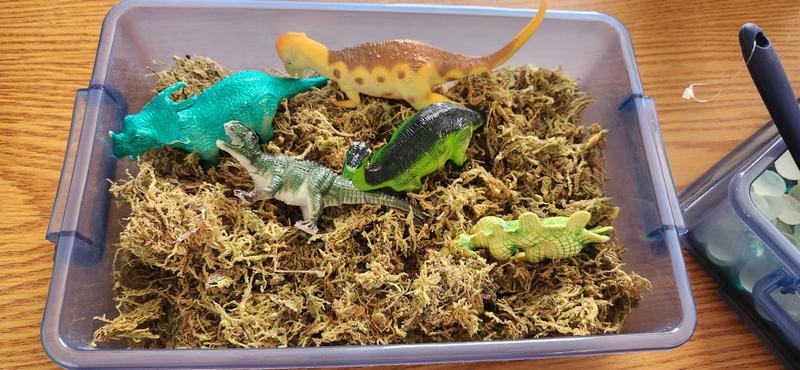 Photo of Roxannie Treehouse Daycare - Winchester, CA