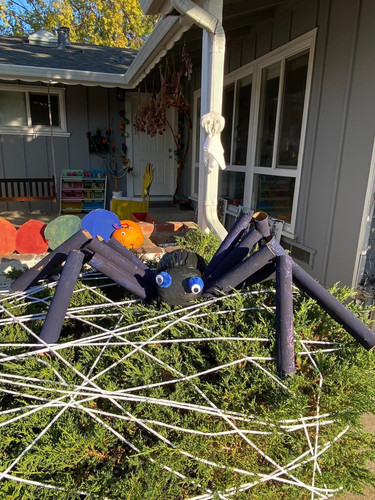 Photo of 白天鹅双语学习中心日托中心 - 库比蒂诺, CA