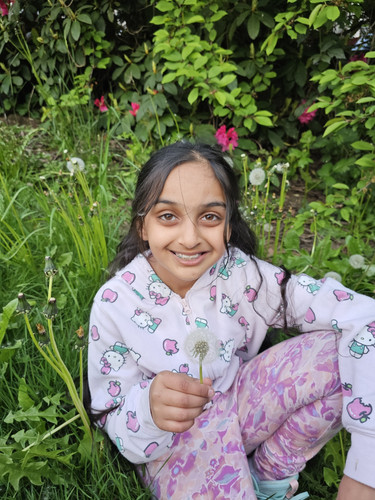 Photo of Cedar & Sound Daycare - Federal Way, WA