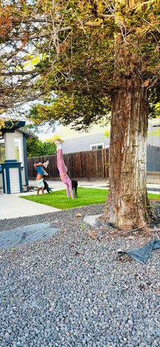 Photo of Little Tiny People Daycare - Oakley, CA