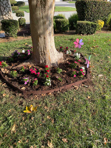 Photo of Fielder's Family Daycare - Moreno Valley, CA