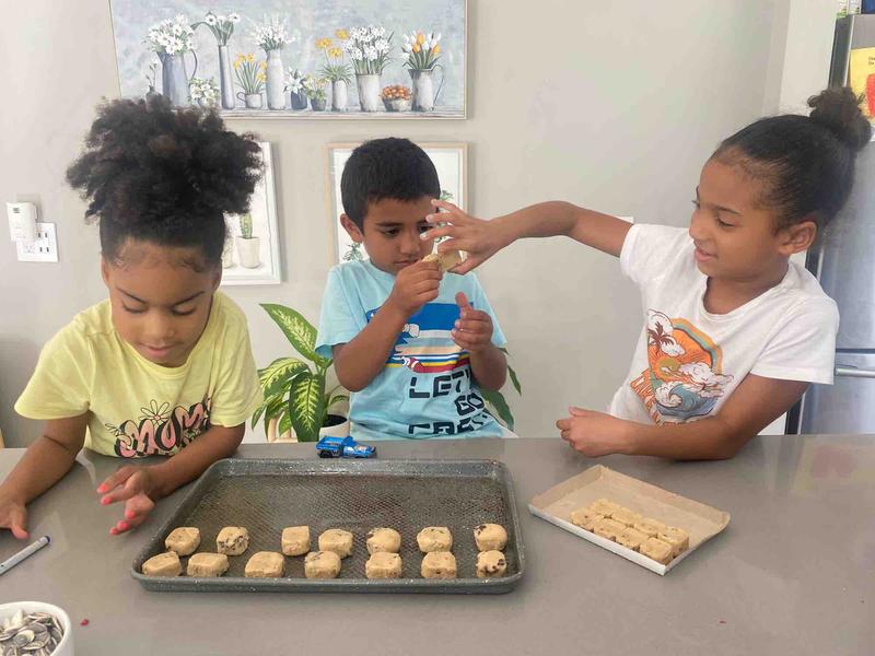 Photo of Tree House Child Care Daycare - Glendale, CA