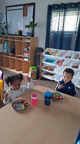 Photo of Little Sheep Of Jesus - Albany, NY