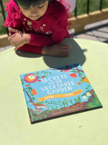 Photo of Lubna Ansari Daycare - Baltimore, MD