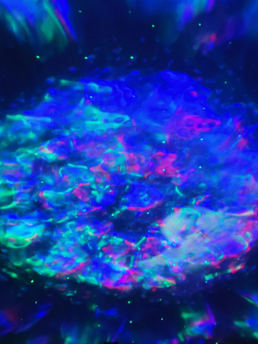 Photo of The Blue Hippo Daycare - Brooklyn, NY