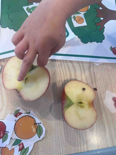 Photo of Premier Playhouse Academy LLC - Bellevue, WA