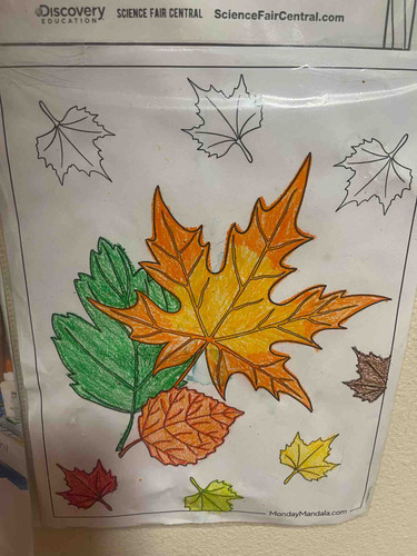 Photo of Mama Musa Childcare Daycare - Seattle, WA