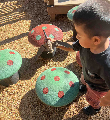 Photo of Little Feet Home DayCare - Santa Paula, CA