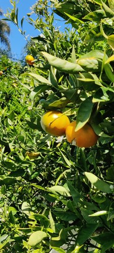 Photo of Yeraldin Daycare - National City, CA