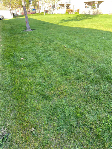 Photo of Forest Blossom Montessori Childcare - Lake Forest, CA