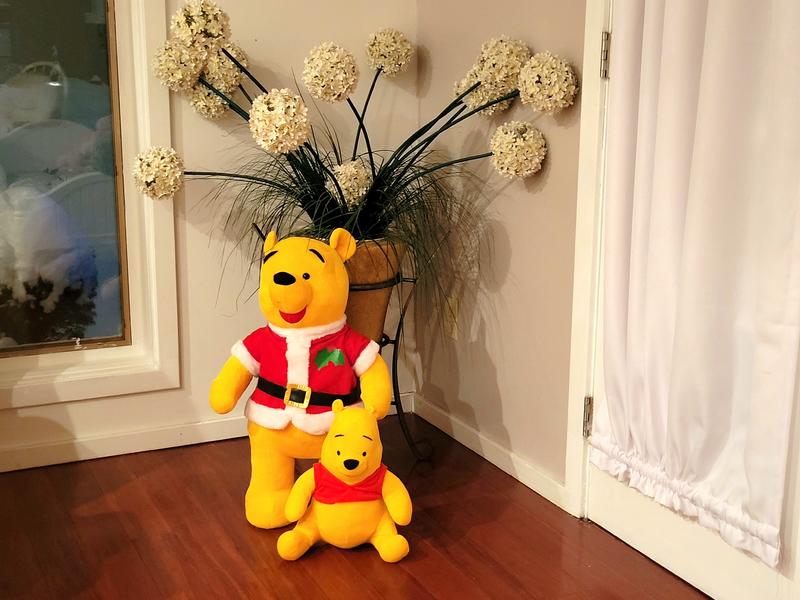 Photo of Poo Bear Daycare - Rochester, NY