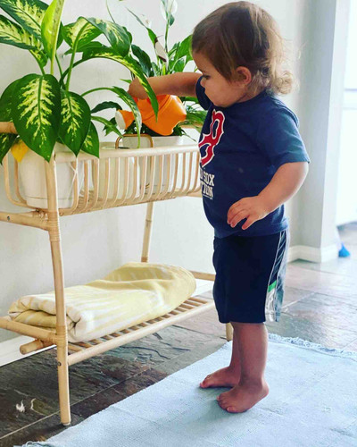 Photo of Tree House Child Care Daycare - Glendale, CA