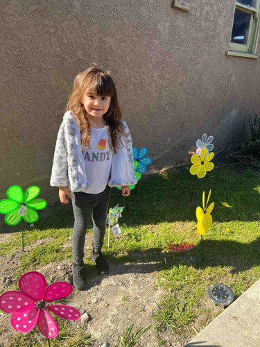 Photo of Dreamy Kids Daycare - Los Angeles, CA