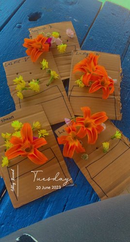 Photo of Tiny Little Blessings Home Childcare Daycare - Oklahoma City, OK