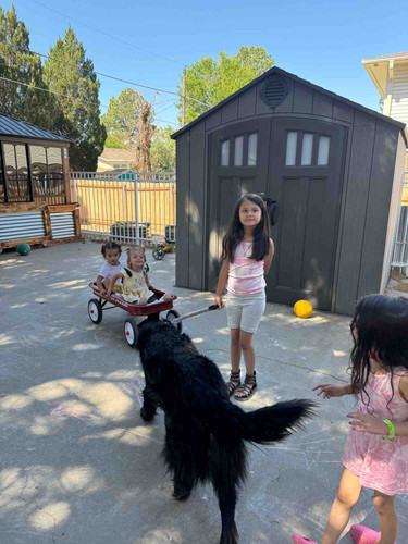 Photo of Klever Koala's Play School - Pueblo, CO