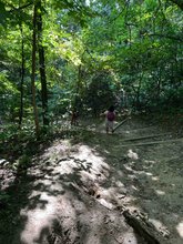 Photo of Menagerie Child Care