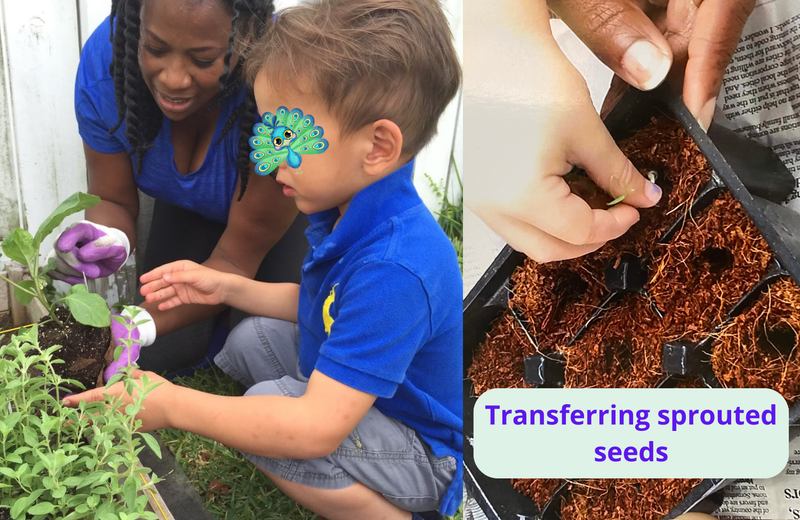 Photo of Ambassador Kids Montessori - Fort Lauderdale, FL