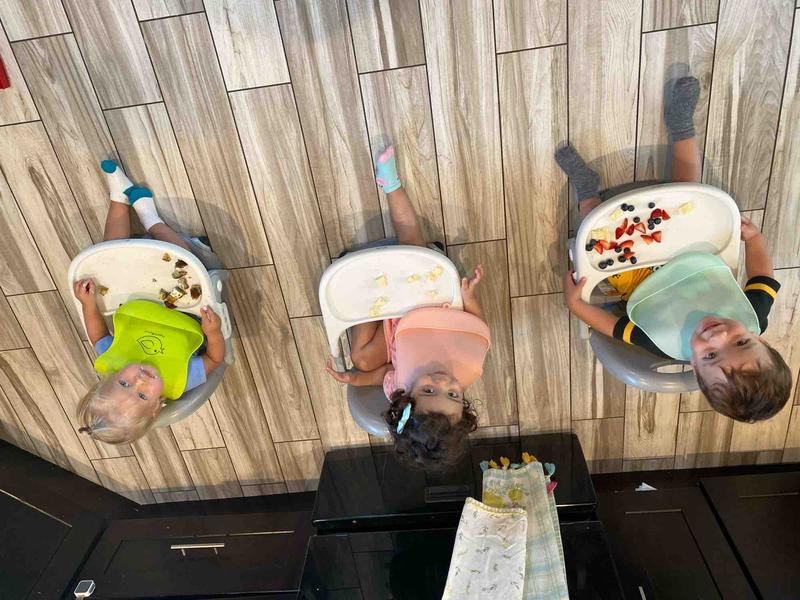 Photo of Tree House Child Care Daycare - Glendale, CA