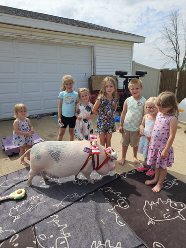 Photo of Learning Wagon Preschool And Chilcare LLC - Rockland, WI
