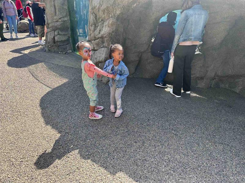 Photo of Hanmira Home Child Care Daycare - Federal Way, WA