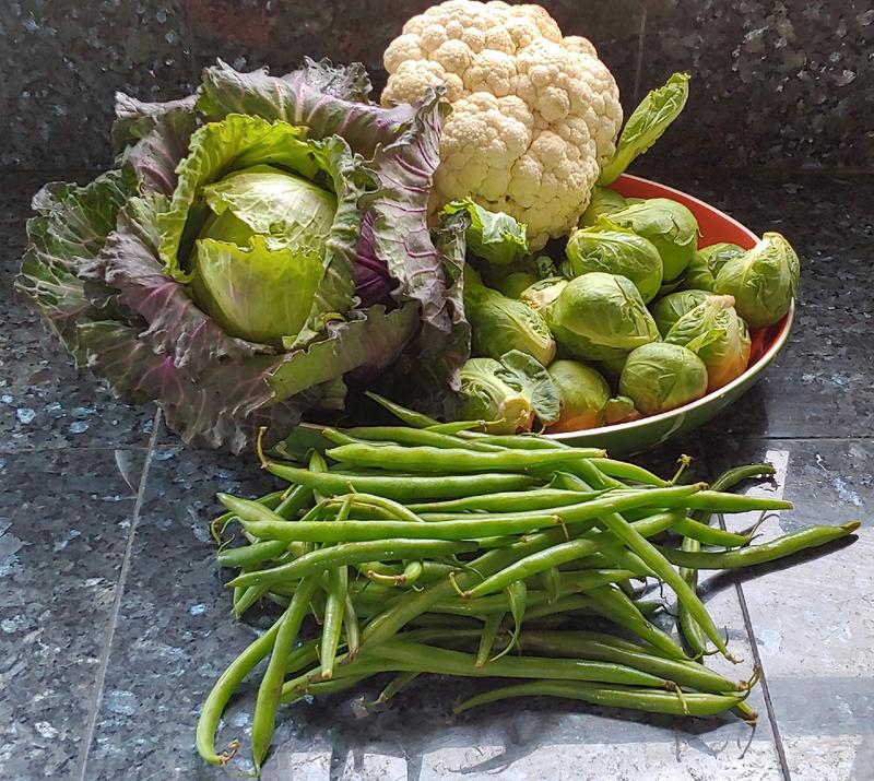 Photo of Sarita's Daycare - Fort Bragg, CA