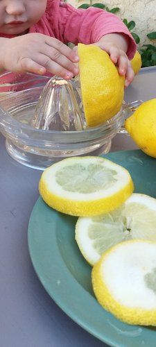 Photo of The Wild Ones: A Small Home Daycare - Alta Loma, CA