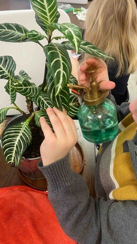 Photo of Montessori Kids Daycare - Irvine, CA