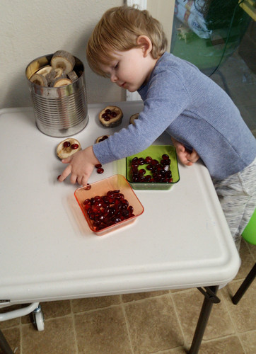 Photo of LC Advanced Learning Foundation Daycare - FAIR OAKS, CA