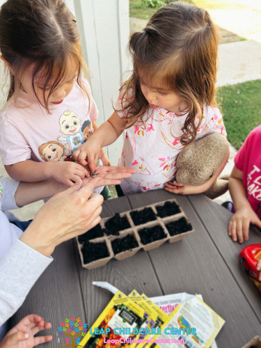 Photo of Leap Childcare Center - Bakersfield, CA