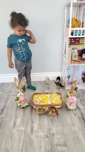 Photo of Sunland Family Childcare - Sunland, CA