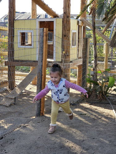 Photo of Beccas Buccaneers - Bakersfield, CA