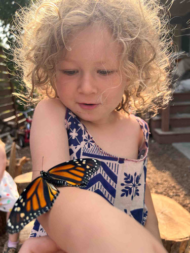 Photo of Larksong Preschool - Minneapolis, MN