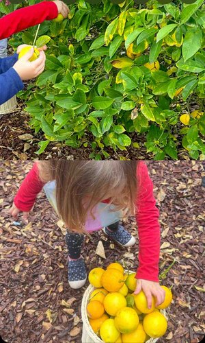 Photo of Kids Konnect Daycare - San Lorenzo, CA