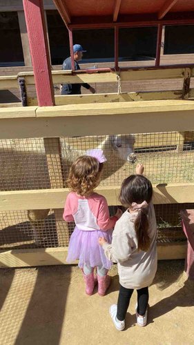 Photo of Sandyland Kids Daycare - Corona, CA
