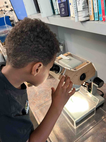 Photo of Blooming Scholars Childcare - Long Beach, CA