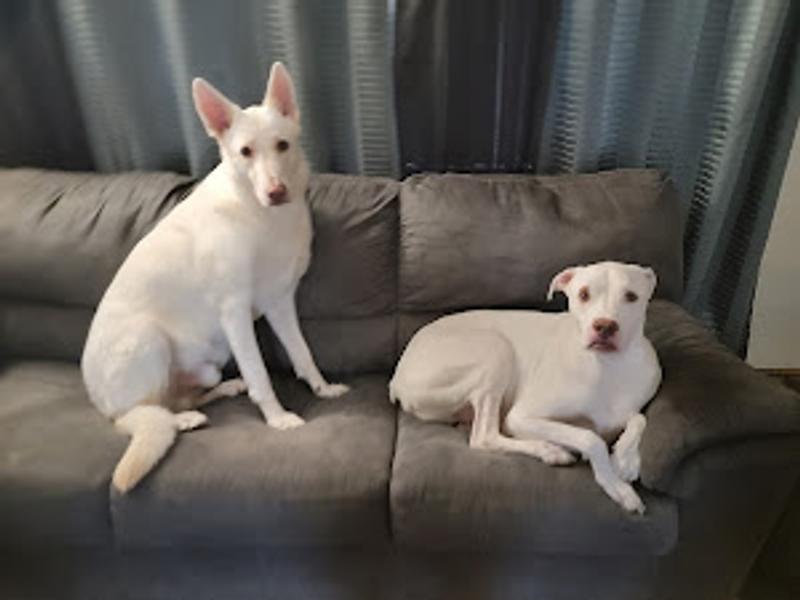 Photo of Emily Porria's Daycare - Springfield, OR