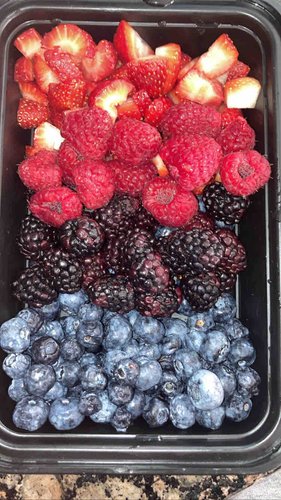 Photo of Rocking Knowledge Family Home Daycare - Los Angeles, CA