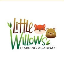Photo of Little Willows Daycare