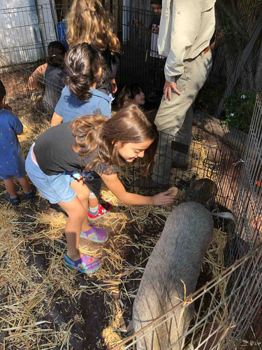 Photo of Angel Montessori Preschool Daycare - Los Angeles, CA