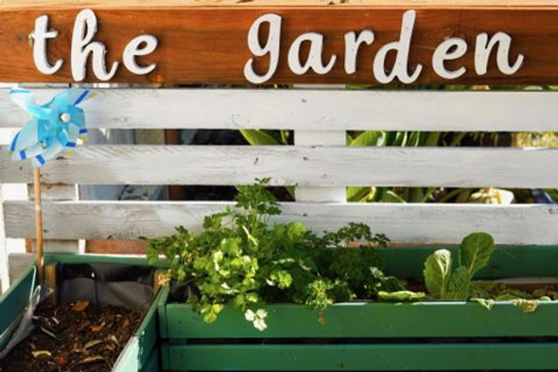 Photo of Little Tribe Daycare - Sunnyvale, CA