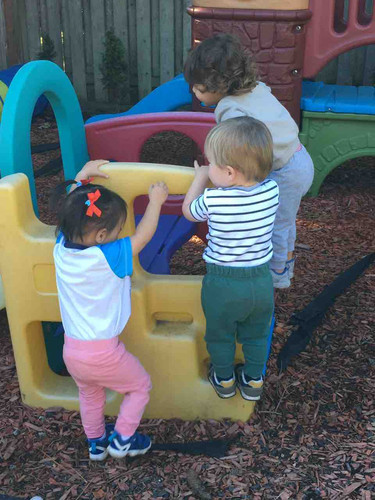 Photo of Seven Little Stars - Kirkland, WA