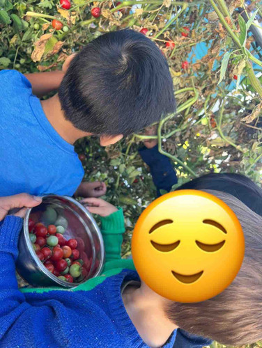 Photo of Little Rainbow Child Care - Redwood City, CA