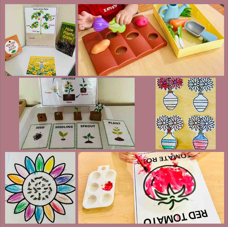 Photo of Francis Home Daycare - San Jose, CA