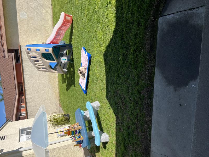 Photo of Torres LiL 1's Daycare - Pico Rivera, CA