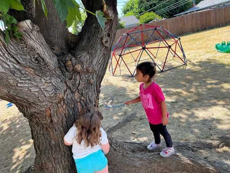 Photo of Dream Stars Childcare & Preschool Daycare - Carmichael, CA