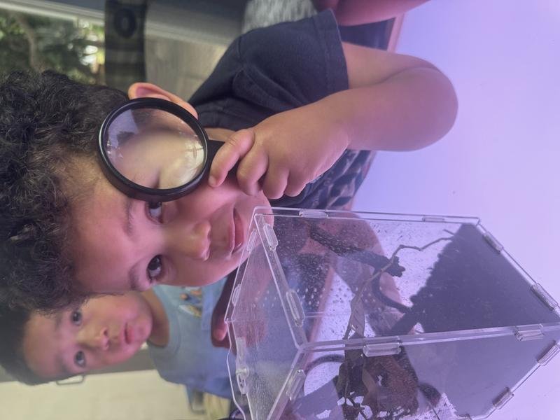 Photo of Silly Little Genius Daycare - Fullerton, CA