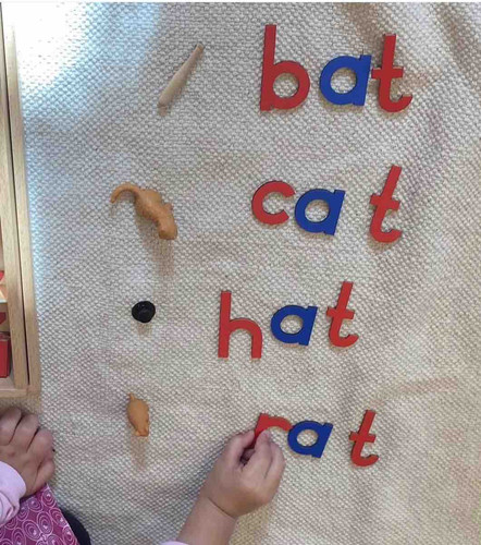 Photo of Wilburton Montessori Preschool - Bellevue, WA