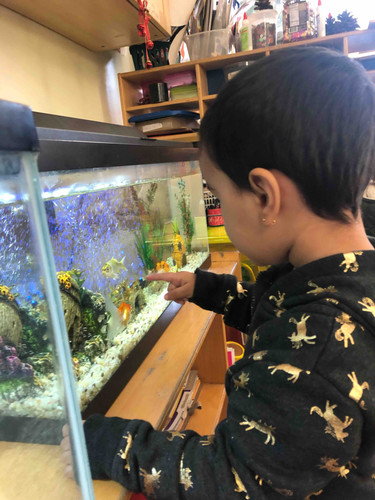 Photo of Happy Preschool Daycare - Los Angeles, CA